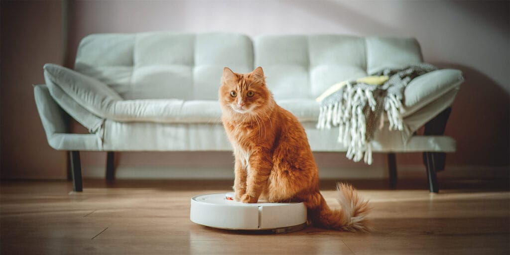 Robotun üzerinde oturan komik turuncu kedi.